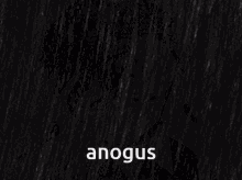 Anogus GIF - Anogus GIFs