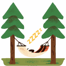 le loon sleeping trees pine tree relaxing
