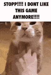 a cat is being touched by a person 's hand and says stopp i dont like this game anymore