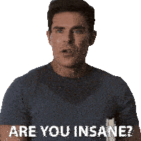 Are You Insane Zac Efron Sticker