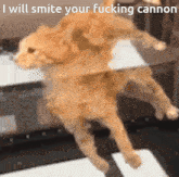 Cannon Smite Smite Cannon GIF - Cannon Smite Smite Cannon I Will Smite Your Cannon GIFs