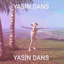 Yasin Yasin Dans GIF - Yasin Yasin Dans Dobby GIFs