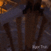 a quote from ngoc truc is written in a foreign language