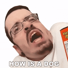 how is a dog able to walk ricky berwick how can a dog move how does a dog walk