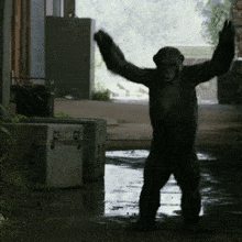 Planet Of The Apes Koba GIF - Planet Of The Apes Koba Roll GIFs