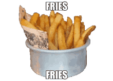 spin fries