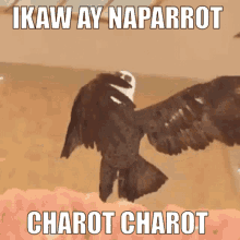 Charot Charot Ikaw Ay Naparrot GIF - Charot Charot Ikaw Ay Naparrot Ikaw Ay Naparrot Charot Charot GIFs
