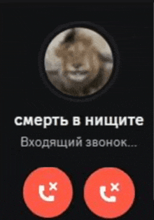 a phone screen shows a picture of a lion and the words " смерть в нищите "