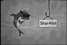 Starkist Tuna GIF - Starkist Tuna Sorry GIFs