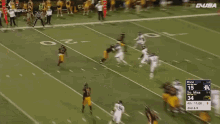 Southern Miss Golden Eagles Touchdown GIF - Southern Miss Golden Eagles Golden Eagles Touchdown GIFs