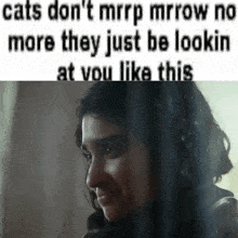 cats don t mrrp mrrow no more they just be looking at you like this .