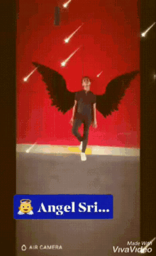 Angel Sri Angel GIF - Angel Sri Angel Wings GIFs