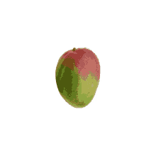 sour green mango fruit