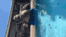 Swimming Disabled GIF - Swimming Disabled Dom GIFs