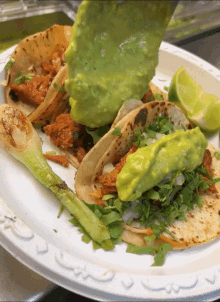 tacos guacamole mexican food taco