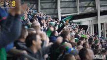 Crowd Cheering Northern Ireland Football GIF - Crowd Cheering Northern Ireland Football Huge Crowd GIFs