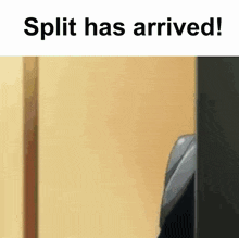 a picture of a person standing next to a wall with the words split has arrived