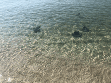 Manarays Ocean GIF - Manarays Ocean GIFs