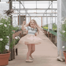 toddler twirl photographer greenhouse