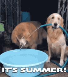 Friendship Cooperation GIF - Friendship Cooperation Summer Time GIFs