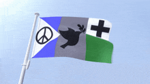 Nora Alliance Flag Geotube GIF
