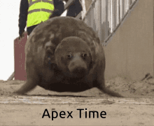 Apex Time GIF