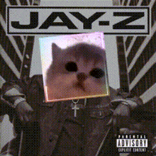 an album cover for jay-z with a cat on it