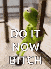 kermit the frog is sitting on a railing with the words `` do it now bitch '' written above him .