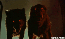 Wolf Red Eyes Black Wolf GIF - Wolf Red Eyes Wolf Black Wolf GIFs