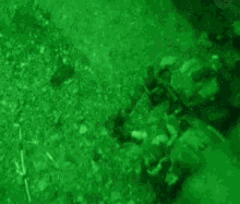 Military Soldiers GIF - Military Soldiers Night Vision GIFs