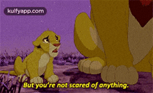 But You'Re Not Scared Of Anything..Gif GIF - But You'Re Not Scared Of Anything. Rug Toy GIFs