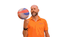 bal volleybal