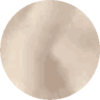 a close up of a brown circle with a white background
