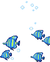 a group of blue and yellow fish are swimming in the water with bubbles