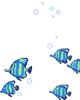 a group of blue and yellow fish are swimming in the water with bubbles