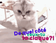 Claque Chat Claque GIF - Claque Chat Claque Chat GIFs