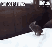 Expectativa X Realidade GIF - Realidade Expectativa Deuruim GIFs
