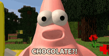 Chocolate You Said Chocolate GIF - Chocolate You Said Chocolate Did You Say Chocolate GIFs