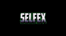 selfex logo flashing