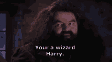 harry wizard
