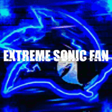Extreme Sonic Fan Extreme Sonic Fan37 GIF - Extreme Sonic Fan Extreme Sonic Fan37 GIFs