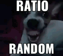 Ratio Random GIF - Ratio Random GIFs