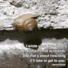 love relationships forever mail snail mail