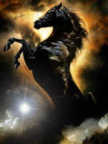 Horse Black Horse GIF
