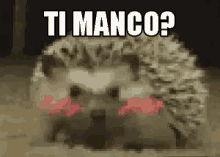 Ti Manco Mancanza Senti La Mia Mancanza Ti Manco Un Po’ GIF - Ti Manco Do You Miss Me Missing Me GIFs