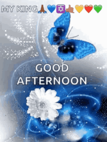 Good Afternoon GIF - Good Afternoon GIFs