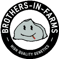Bif Bifbeans Sticker