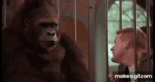 Gorilla Crush GIF - Gorilla Crush Hand GIFs