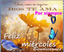 a spanish greeting card with a blue bird and butterflies