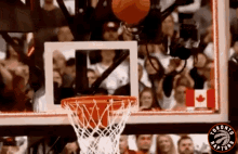 Toronto Raptors Nba GIF - Toronto Raptors Nba Basket GIFs